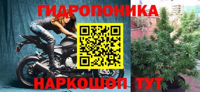 spice Аргун