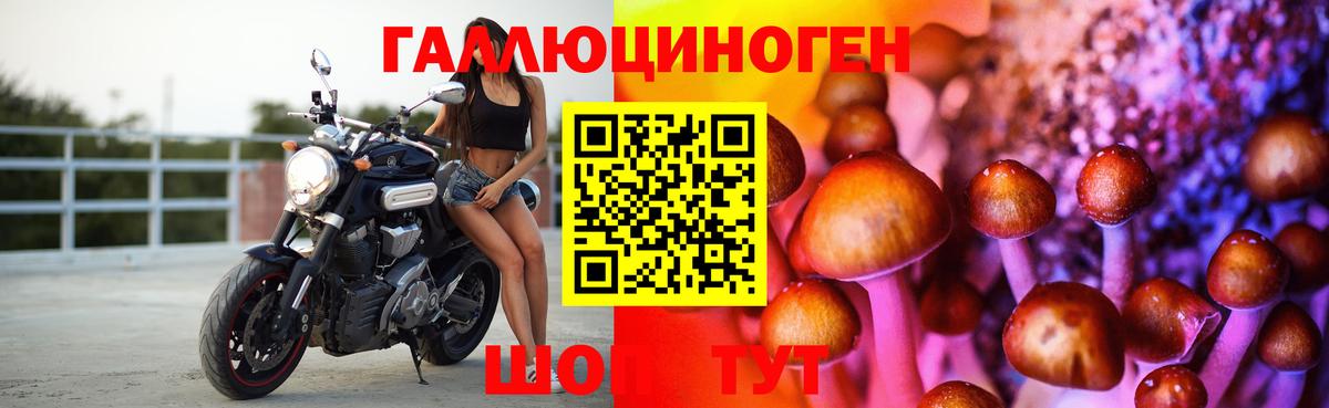 как найти закладки  Галлюциногенные грибы ЛСД  Вход с VPN  Всеволожск 